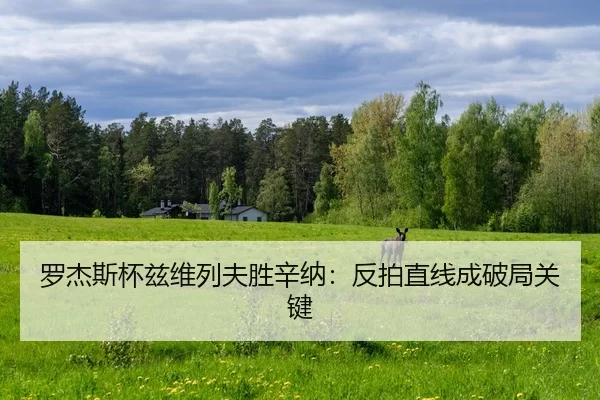 罗杰斯杯兹维列夫胜辛纳：反拍直线成破局关键